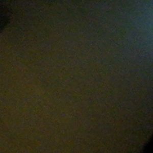 NWT Billabong Daily Hybrid Shorts